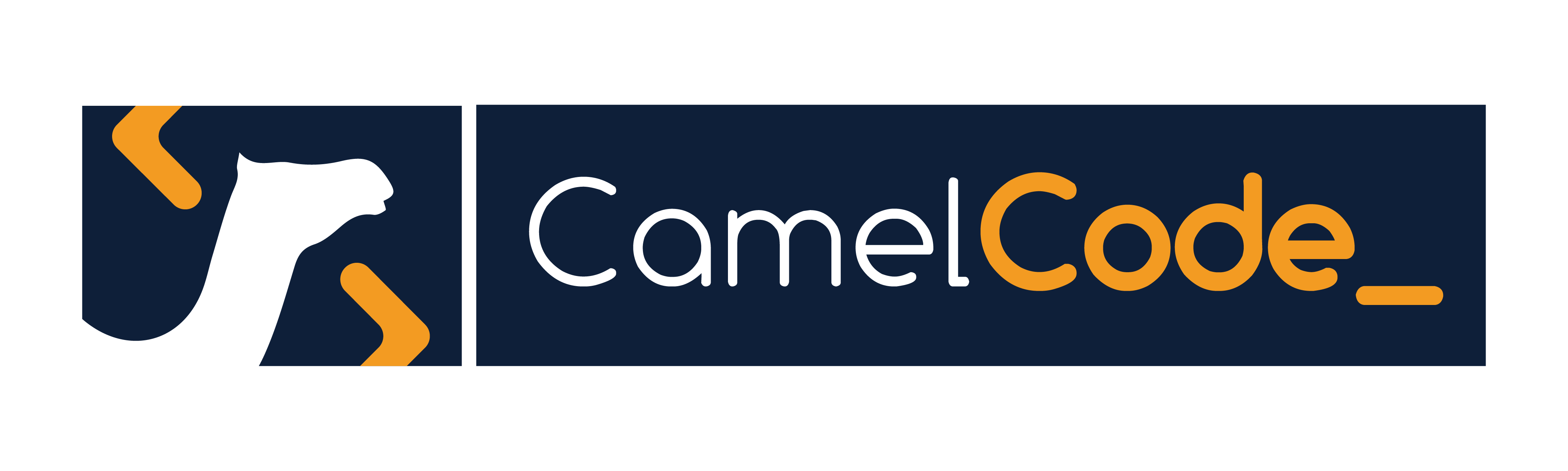 CamelCode Logo